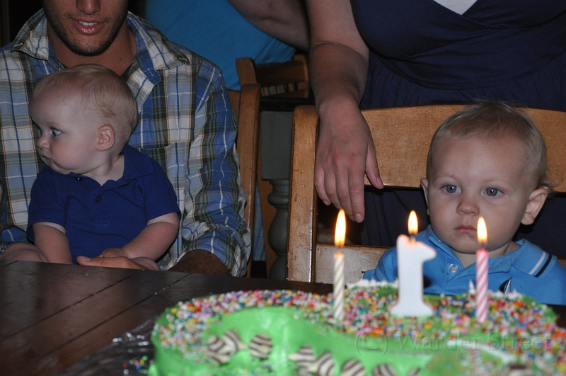 William's 2nd 1st Birthday Party 304.jpg